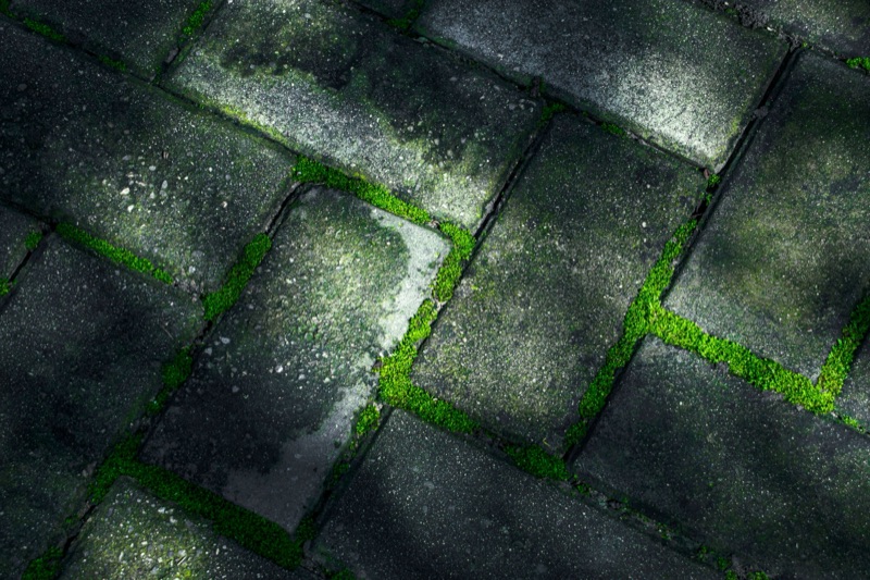 Pavimento exterior com crescimento orgânico nas juntas